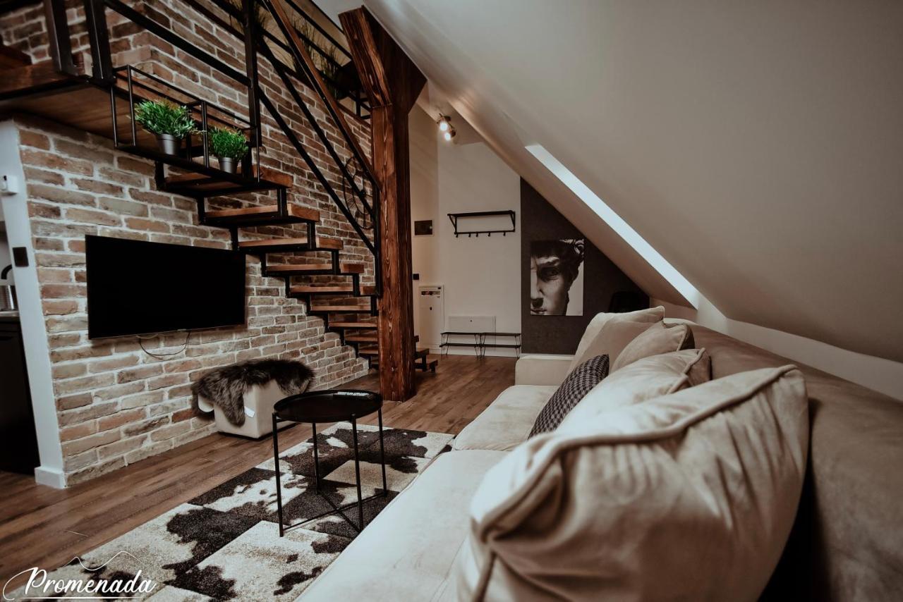 Promenada Apartmani 兹拉蒂博尔 外观 照片